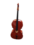 Cecilio Cco-100 Orange Cello
