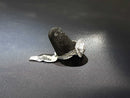 Women's Ring - White Gold 10k (.417) 3.7 grams Size 6.5