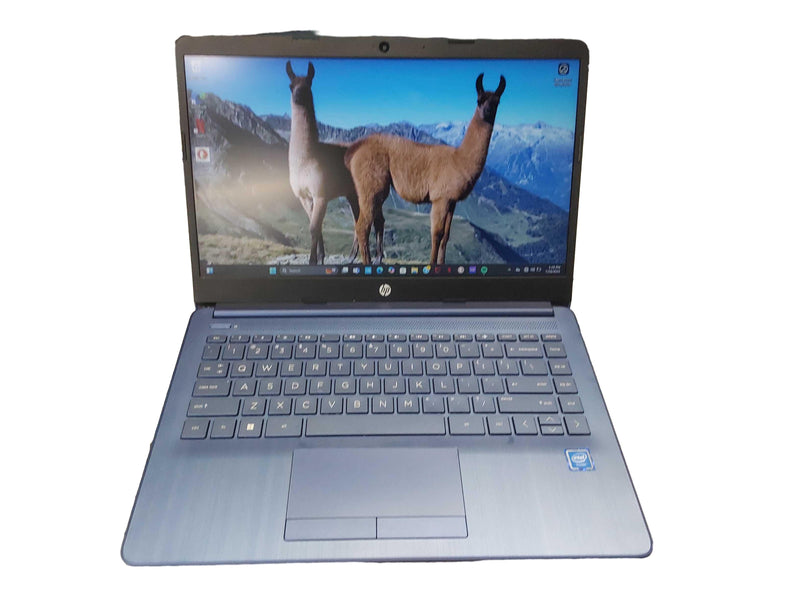 Hp 14-cf211wm Intel Celeron 4 Gb 64 Gb Blue Laptop