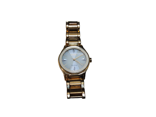 Citizen E031 R010981 Gold Regular Watch