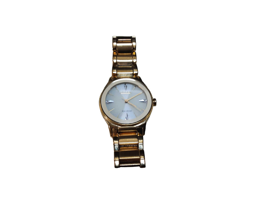 Citizen E031 R010981 Gold Regular Watch