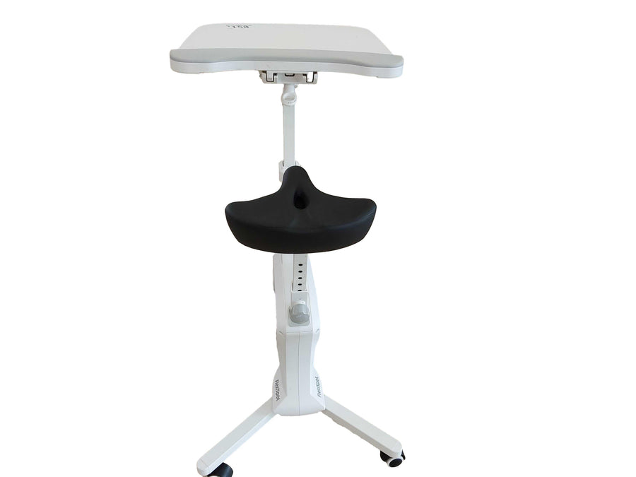 Flexispot V9 White