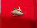 Women's Ring - Yellow Gold 10k (.417) 2.3 grams Size 7