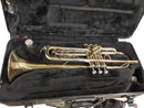 Bach Tr500 Gold Trumpet
