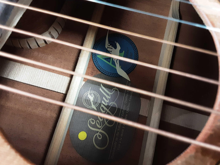 Seagull Artist Beige / Tan Acoustic Classic Guitar