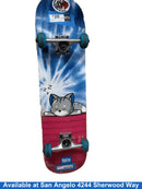Santa Monica California Multi-color Skateboarding / Longboarding Equipment
