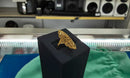 Women's Ring - Yellow Gold 22k (.917) 4.7 grams Size 8