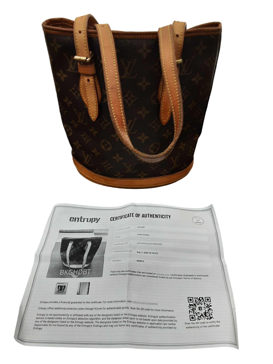 Louis Vuitton Bucket Purse Brown Purse / Handbag