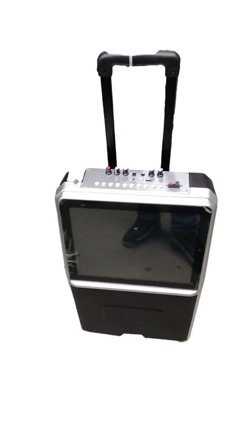 Iqsound Iq-1508djwk Silver Karaoke Machine