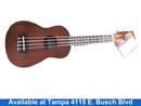 Kala 2006 Brown Other String Instrument