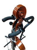 Samuel Easton Va Dd Brown Viola