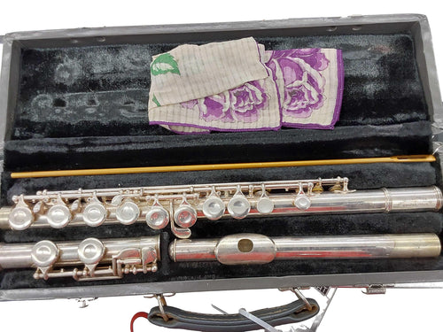 Hayes-schwelm 362036 Silver Flute