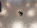 Women's Ring - Yellow Gold 10k (.417) 4 grams Size 8