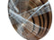 Sabian Splash Gold