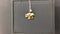 Animal Pendant Yellow Gold 10k (.417) 2 grams