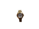 Citizen E031-s126614 Gold Regular Watch