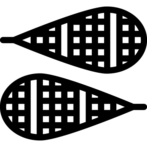 Atlas Blue Snow Shoes