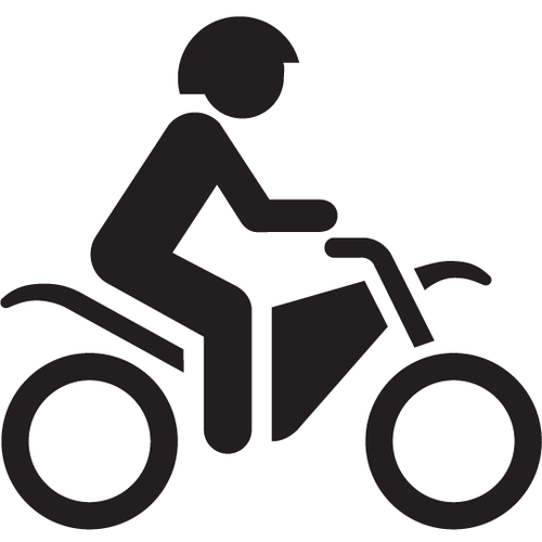 Shengmilo Mx21 Gray Mini-Bike