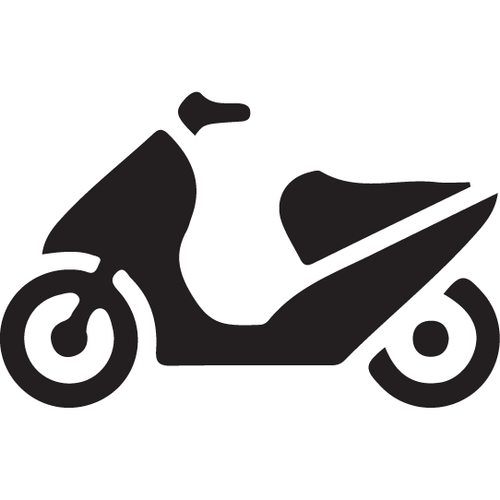 Realtree Rt100 Camo Moped / Vespa