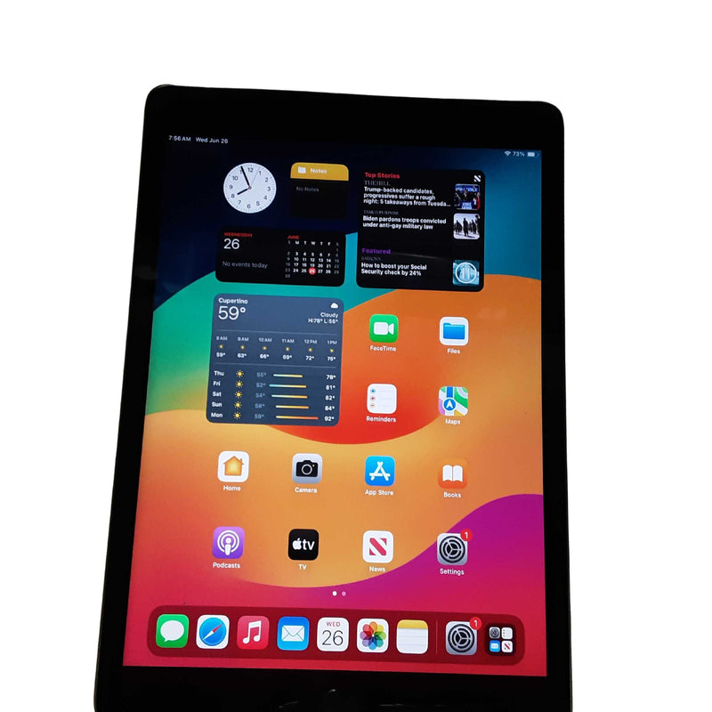 Apple A2602 (9th 256gb - Wifi) Black Tablet