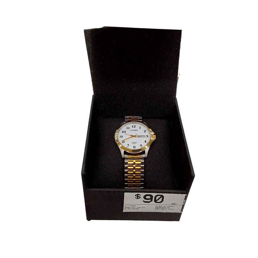 Citizen G102-s114331 Silver Regular Watch
