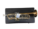 Jupiter Ceb-660 Gold Clarinet