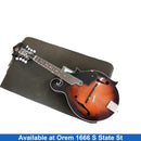 Rogue Rm100f2 Brown Mandolin