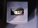 Women's Ring - Yellow Gold 10k (.417) 3.5 grams Size 5