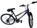 Ozone 500 Northern Ridge Purple BMX Bike