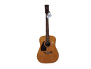 Ibanez Pf5l-nt-14-05 Brown Acoustic Classic Guitar