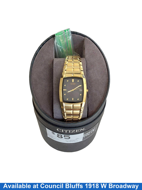 Citizen E1118049369 Gold Regular Watch