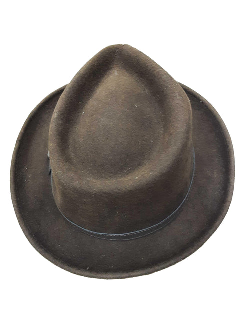 Stetson Brown Hat