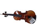 Brown Violin