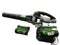 Ego Lb5300 Green Cordless Leaf Blower