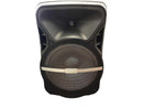 Edison Professional St-1000 Black Floor Speaker