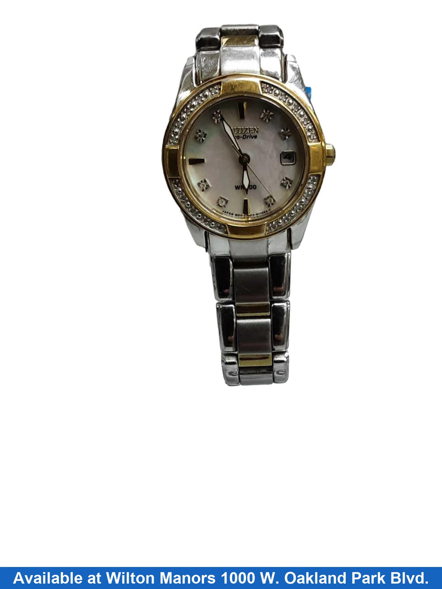 Citizen Wr100 Silver Regular Watch