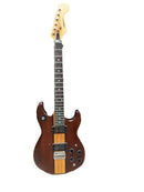 Delia 308 Brown Acoustic Classic Guitar