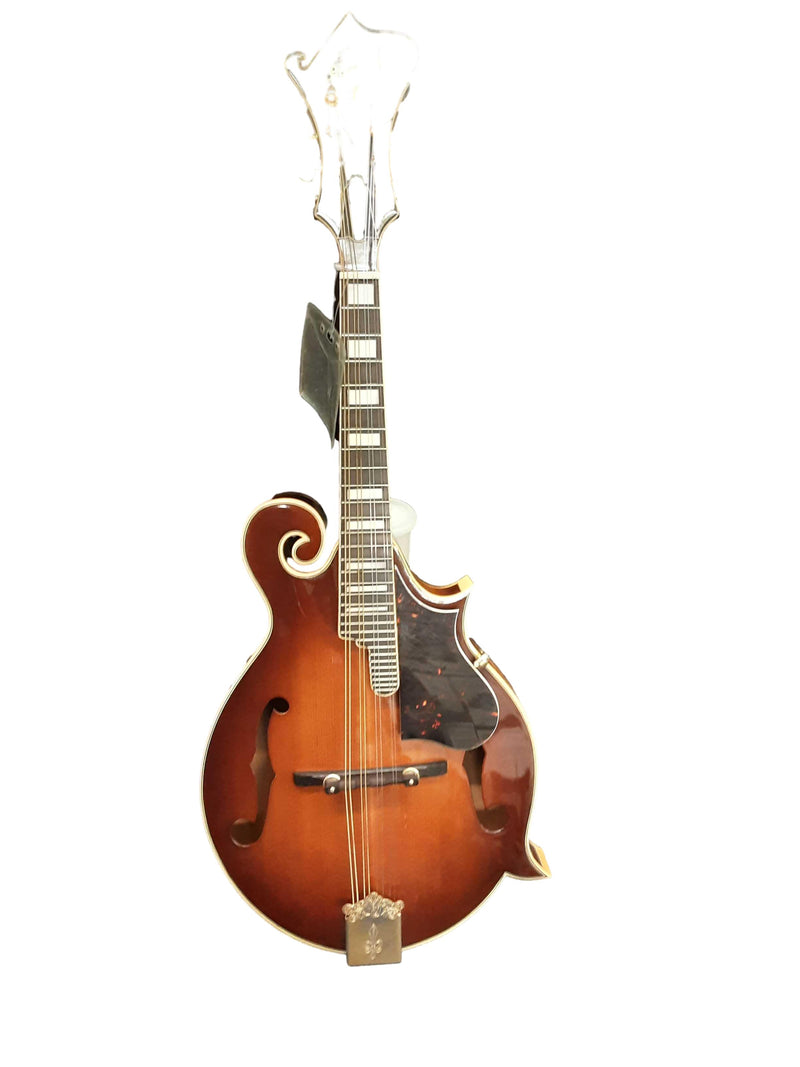 The Alvarez A900 Brown Mandolin