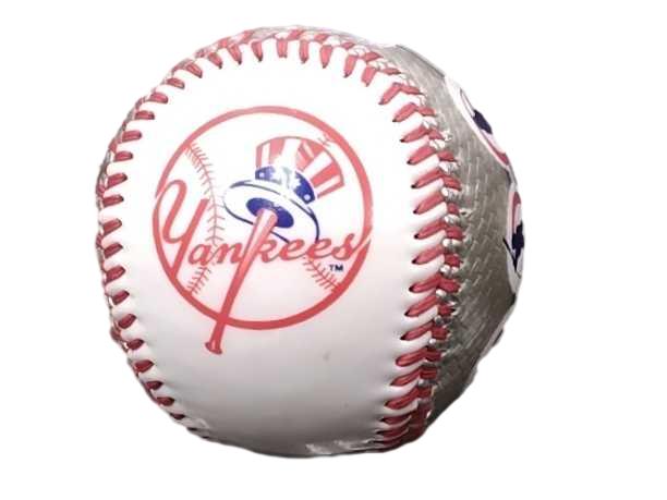 Rawlings Ny Yankees Silver