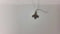 Animal Pendant Silver 0.6 grams