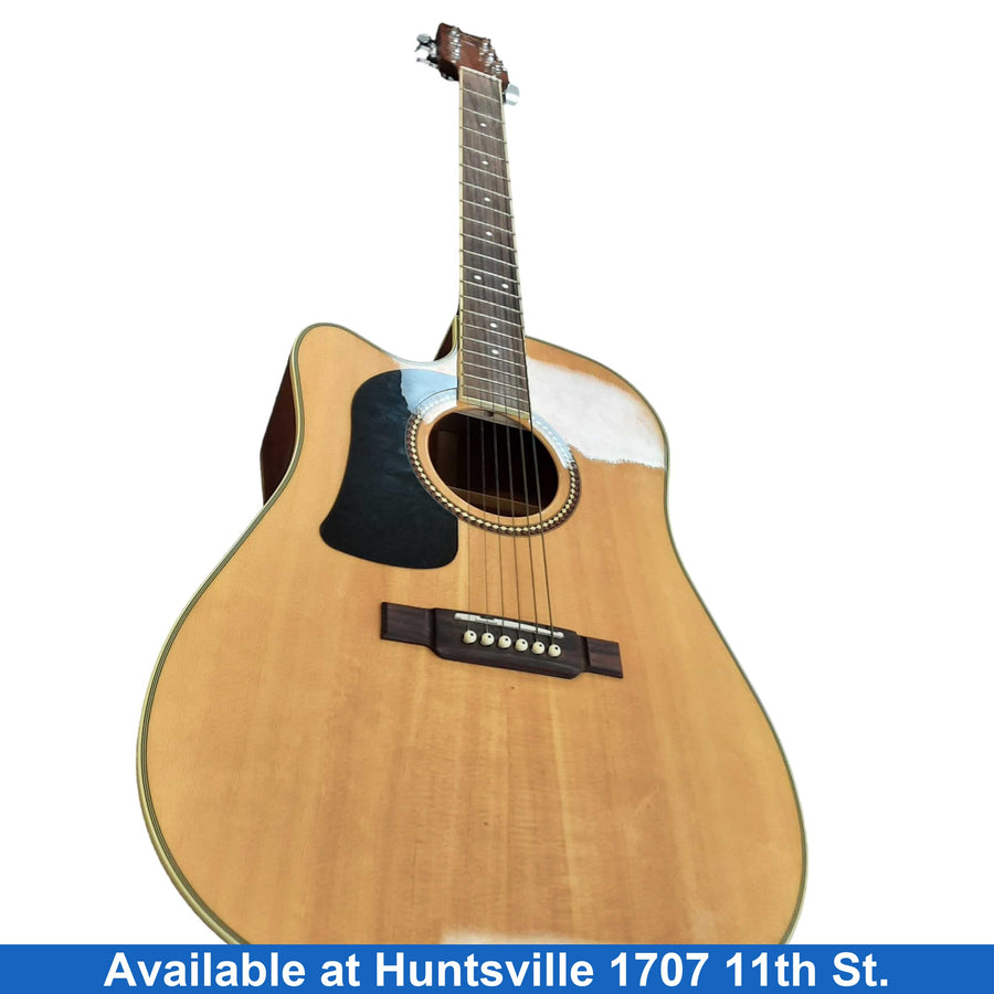 Washburn D10sce Brown Acoustic / Electric Classic Guitar