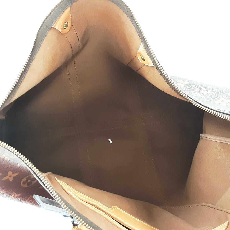 Louis Vuitton Flanerie Brown