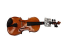 Eastman Vl80 Brown Other String Instrument