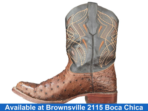 El Pajal 1850 Brown