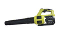 Iework Ek-01gyg Green Cordless Leaf Blower