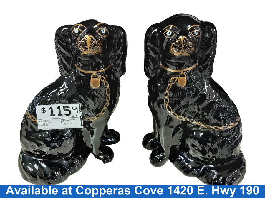 Jackfield Spaniel Dogs Black Other Collectible