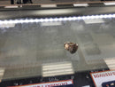 Women's Ring - Yellow Gold 10k (.417) 6.3 grams Size 7.5